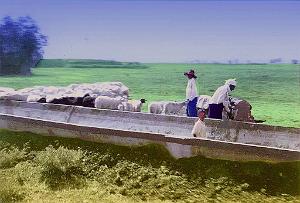 FERRY CANAL IRRIGATION